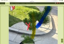IMG_1692.jpeg