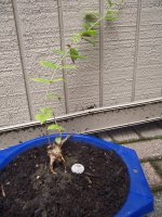 100_3317.JPG