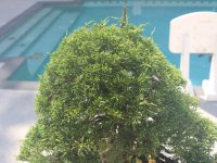 IMG_0030.jpeg