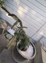 IMG_20250628_195234528.jpg