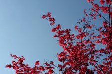 20250705_174747 - Kopie.JPG