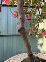 IMG_5997.jpeg