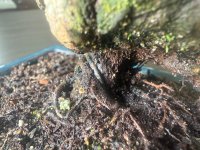 IMG_9271.jpeg