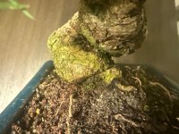 IMG_9280.jpeg