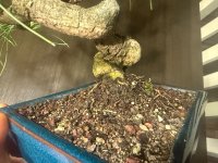 IMG_9279.jpeg