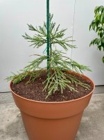 IMG_E1867.JPG