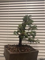 IMG_9303.jpg
