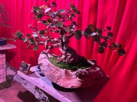 IMG_2046.jpeg