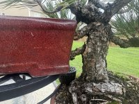 thumbnail_IMG_9333.jpg