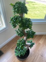 IMG_6101.jpeg