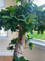IMG_6102.jpeg