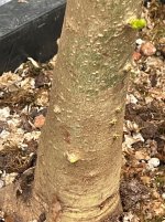 IMG_5280.jpeg