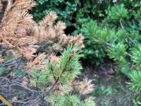 IMG_7217.jpeg
