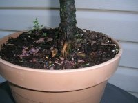 DSCN4582.JPG