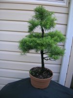 DSCN4583.JPG