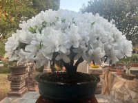 thumbnail_IMG_4064.jpg