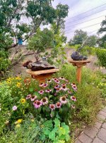 IMG_1049.jpeg