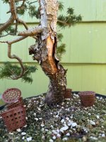 IMG_6593.jpeg