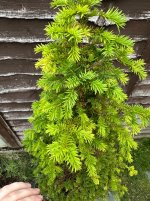 IMG_1884.jpeg
