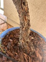 IMG_6157.JPEG