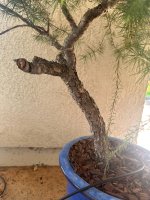 IMG_6158.JPEG