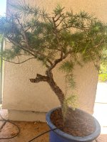 IMG_6159.JPEG