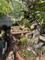 thumbnail_IMG_9608.jpg
