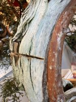 IMG_4246 2.jpeg