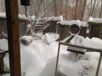 IMG_0769.jpeg
