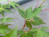IMG_5923.jpeg