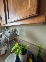 IMG_9335.jpeg