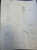 IMG_6179.jpeg