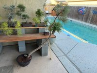 IMG_2661.jpeg
