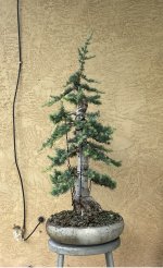 IMG_1469.jpeg