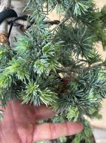 IMG_1466.jpeg