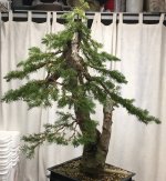 IMG_2143.jpeg