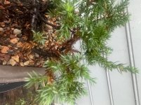 IMG_2283.jpeg