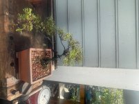 IMG_2287.jpeg