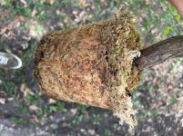 IMG_1380.jpeg
