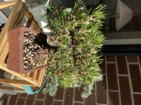 IMG_7840.jpeg