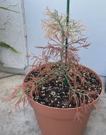 IMG_3293.JPG