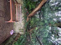 IMG_6648.jpeg