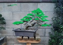 Ca Juni Pic vert 1.jpg