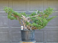 Screenshot 2026-01-09 082601.jpg