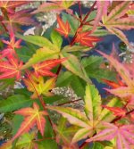 f21f6eee-3cd1-49b7-83d3-846ac31372b2 (1).jpg