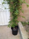 2015-05-01 19.21.13.jpg
