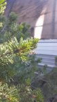 20150925_085510.jpg