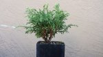 20151013_101836.jpg