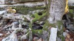 20151108_163539.jpg