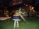 DSC00785.jpg